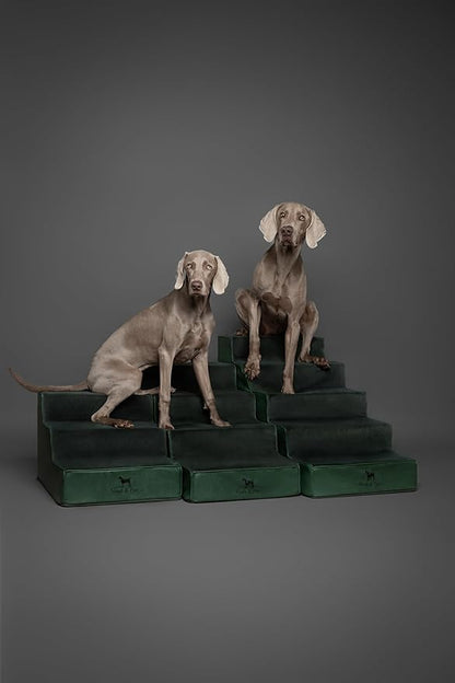 Noah & Paw Dog Stairs, Dog Ramp for Bed (16" Extra Wide) Pet Stairs for High Bed, Design to Fit Small and Large Breeds, Durable 3 Pet Steps for Couch (35 Foam Density) Leather Collection