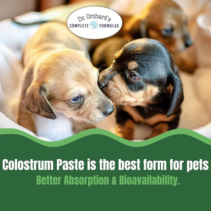Dr. Orchard's Colostrum Paste, Immune Support Supplement for Puppies and Kittens, Bio-Active IgG Formula, 30g
