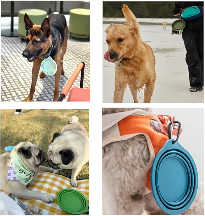 Collapsible Travel Pet Bowl with Carabiner for Dogs and Cats, Portable Silicone Pet Bowl for Waking, Hiking and Traveling (Red)