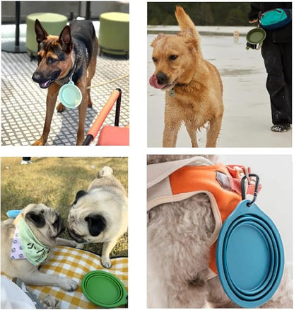 Collapsible Travel Pet Bowl with Carabiner for Dogs and Cats, Portable Silicone Pet Bowl for Waking, Hiking and Traveling (Purple)