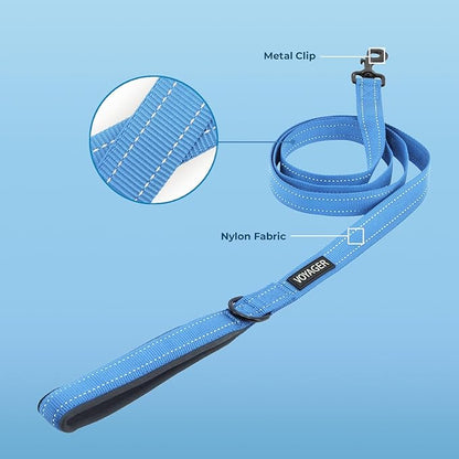 Best Pet Supplies Voyager Reflective Dog Leash or Collar with Neoprene Handle, for Small, Medium, and Large Breed Puppies, Cute and Heavy Duty for Walking, Running and Training - Baby Blue (Leash), S