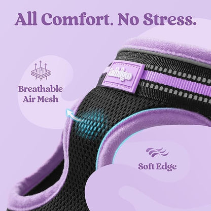 rabbitgoo Cat Harness and Leash Set for Walking Escape Proof, Adjustable Soft Kittens Vest with Reflective Strip for Cats, Comfortable Outdoor Vest, Black & Light Purple, S