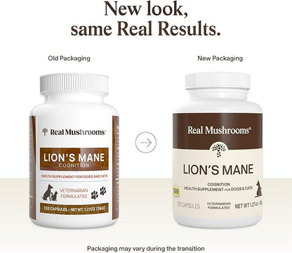 Real Mushrooms Lion’s Mane Pet Mushroom Supplement – Pet Wellbeing Capsules – for Cat & Dog Supplement & Vitamins – Support Mindful Routines – Organic, Vegan, Non-GMO, 120 Count