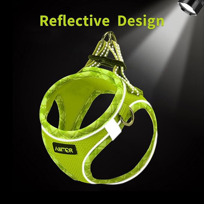 AMTOR Small Dog Harness with Leash Set, No Escape Easy Walk Puppy Harnesses for Training Walking, Step-in Reflective Soft Dogs Vest for XS S Medium Extra-Small Large Sized Dog(M Size,Green/White)