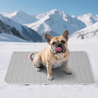 Soulbond Cooling Mat for Medium Dogs - 29"x40" Washable Cooling Pad for Large Dogs & Cats, QMAX>0.3, Anti-Slip Bottom, Portable Summer Cool Pet Bed Pad for Outdoor/Indoor/Cars/Travel Use, Dark Gray