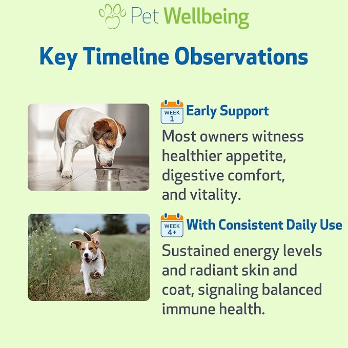 Pet Wellbeing Mushroom Immune Gold for Dogs - Complementary Immune Support with Functional Mushrooms Reishi, Maitake & Turkey Tail - NASC Certified & Vet-Formulated - 8 oz Liquid Formula
