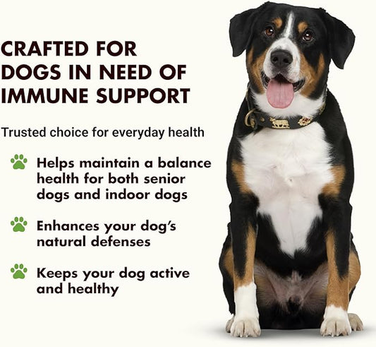 Immune Support for Dogs – Antioxidant Protection & Gut Health – Inulin, Beta-Glucan & Omega-3s / Fish Oil & More! - Made for Picky Eaters