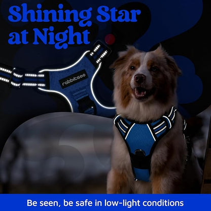 rabbitgoo Dog Harness Small Sized, No Pull Dog Vest with 3 Buckles, Adjustable Soft Padded Pet Harness with Easy Control Handle and Reflective Strips, Royal Blue, S