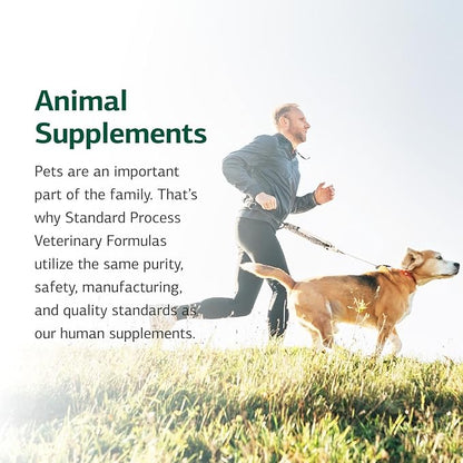 Standard Process Inc. Feline Immune System Support - Nutritional Supplement for Feline Immune Health Support - Cat Supplement Tablets to Aid Healthy Immune Cells & Tissue - 90 Tablets