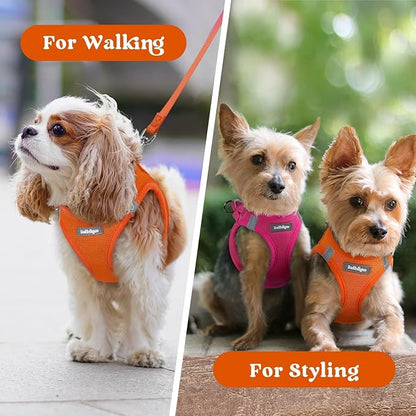 rabbitgoo Small Dog Harness, Step-in Soft Mesh Puppy Vest with Safety Buckle, Breathable Reflective Pet Harness for Small Sized Dogs, Orange XS