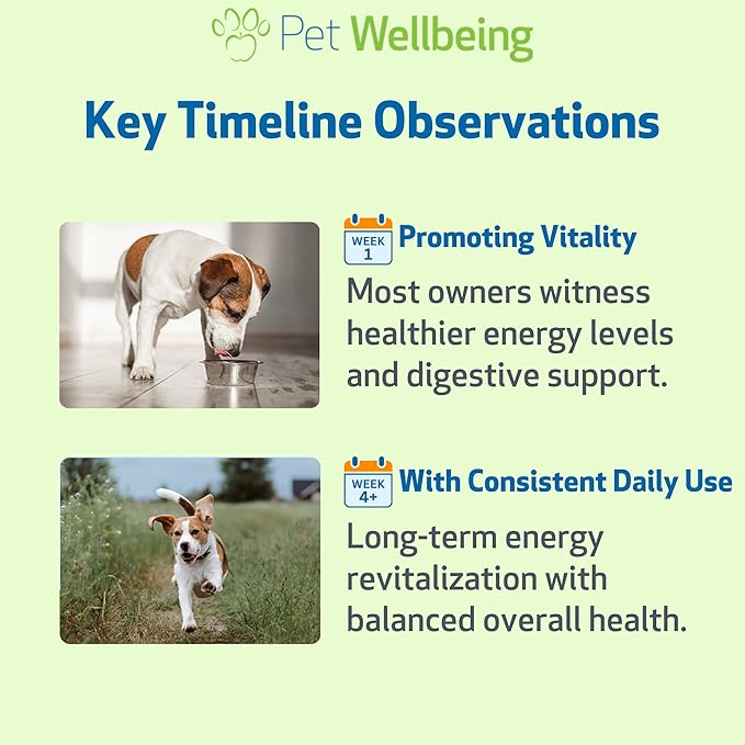 Pet Wellbeing Dandelion Root for Dogs - Liver & Heart Health, Digestive Function, Blood Sugar Support, Certified Organic - Veterinarian-Formulated Herbal Supplement 4 oz (118 ml)