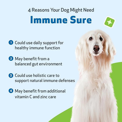 Pet Wellbeing Immune Sure for Dogs - Supports Normal Immune Defenses, Gut Flora Balance, Andrographis, Echinacea, Vitamin C, Zinc - Veterinarian-Formulated Herbal Supplement 4 oz (118 ml)