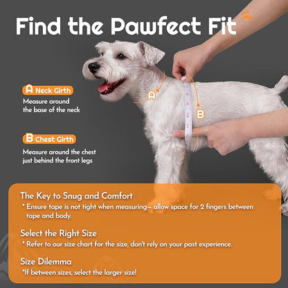Eagloo Small Dog Harness and Leash Set, Step in Puppy Vest with Breathable Soft Mesh, Walking Reflective Pet Harness for Small Dogs, Gray, S