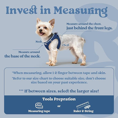 rabbitgoo Small Dog Harness, Step-in Soft Mesh Puppy Vest with Safety Buckle, Breathable Reflective Pet Harness for Extra Small Dogs, Navy Blue XXXS