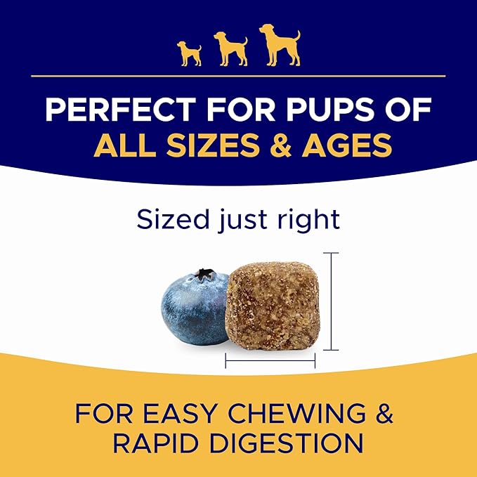 Omega 3 Fish Oil for Dogs (180Ct) - Skin&Coat Chews - Dry & Itchy Skin Relief + Allergy Support - Shiny Coat - EPA&DHA Fatty Acids - Salmon Oil Chews Promotes Heart, Hip & Joint Support