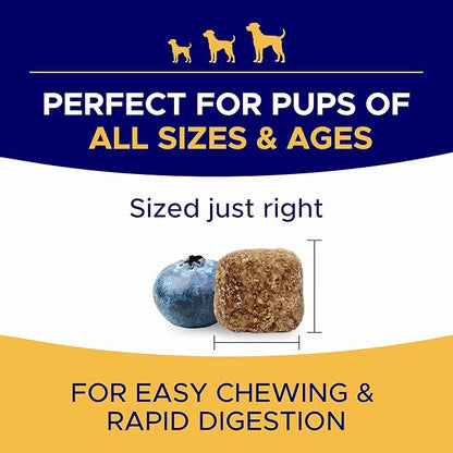 Omega 3 Fish Oil for Dogs (360Ct) - Skin&Coat Chews - Dry & Itchy Skin Relief + Allergy Support - Shiny Coat - EPA&DHA Fatty Acids - Salmon Oil Chews Promotes Heart, Hip & Joint Support