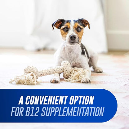 Nutramax Laboratories Cobalequin B12 Supplement for Cats and Small Dogs, 45 Count (Pack of 2)
