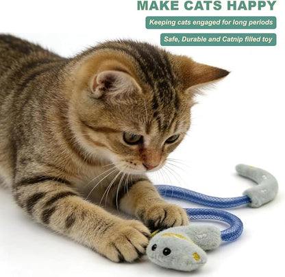 Interactive Cat Toys Set, Silvervine Chew Sticks and Cat Spring Toy, Indoor Catnip Toys for Exercise and Dental Care, for Adult Cats and Kittens (10 Packs)