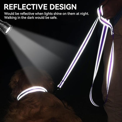 Joytale Dog Leash, 5 FT Double-Sided Reflective, Padded Handle Nylon Heavy Duty Leashes for Small Dogs Walking, Purple