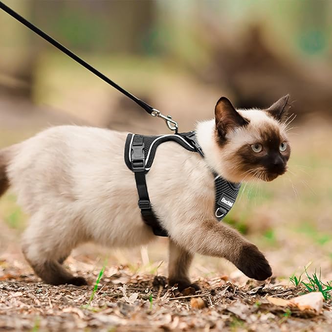 Cat Harness, Cat Harness and Leash for Walking, Adjusted in Four Directions and Breathable Cat Harness for Anti Escape that can be Fitted and Positioned, Reflective Strips Harness, Black, S