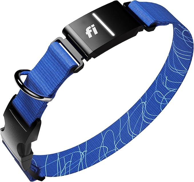 Fi New Series 3+ Smart Dog Tracker Collar [6 Month Membership Included] GPS Tracker for Dogs with Health & Behavior Monitoring, Escape Alerts, Waterproof, LED, Apple Watch Compatible (Blue, Small)