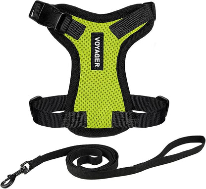 Voyager Escape-Proof Step-in Lock Cat Harness & 5ft Neoprene-Handle Leash Set All-Weather Mesh with Reflective Stitching for Small to Large Cats by Best Pet Supplies, Lime Green/Black Trim, XXXS