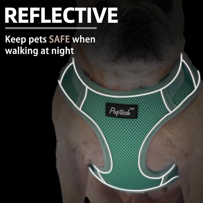 PUPTECK Small Dog Harness and Leash Set, No Pull Adjustable Puppy Cat Harness, Reflective Soft Mesh Pet Vest Small Sized, Green, S