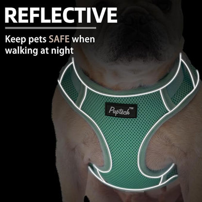 PUPTECK Small Dog Harness and Leash Set, No Pull Adjustable Puppy Cat Harness, Reflective Soft Mesh Pet Vest Small Sized, Green, L