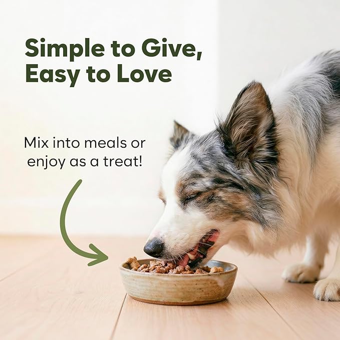 Premium Mushroom Chews for Dogs - 5-in-1 Turkey Tail, Lion’s Mane, Chaga, Reishi & Shiitake - Immune Support & Cognitive Health Mushroom Supplement for Dogs - for Heart, Liver & Brain Function