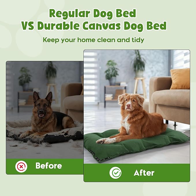 HOMBYS Durable Canvas Outdoor Dog Bed with Metal Rivets, 41" x 28" Water Resistant & Heavy-Duty Tough Pet Bed, Ideal for Large Dogs Indoor, Crate, Patio Use, Green