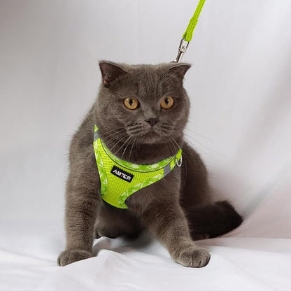 AMTOR Small Dog Harness with Leash Set, No Escape Easy Walk Puppy Harnesses for Training Walking, Step-in Reflective Soft Dogs Vest for XS S Medium Extra-Small Large Sized Dog(S Size,Green/White)