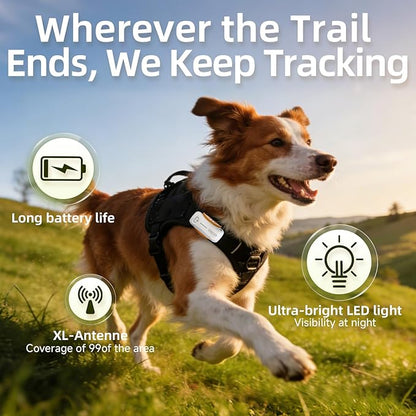 DBDD AI GPS Tracker for Dogs (30lbs+), Real Time Location and AI Health Assistant, Electronic Fence, Waterproof, iOS and Android Universal (D5-White)