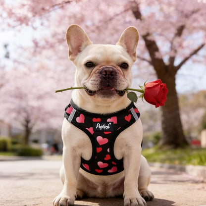 PUPTECK Dog Harness and Leash Set for Small Medium Dogs No Pull Step-in Soft Mesh Puppy Cat Vest Harnesses Reflective at Night Valentine, Black&Pink Heart, M