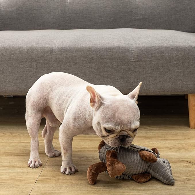 Hollypet Plush Dog Squeaky Toy Stuffed Armadillo Animal Pet Puppy Chew Toys with Clean Teeth for Small Medium Large All Breed Sizes Dogs, Gray, 8 in
