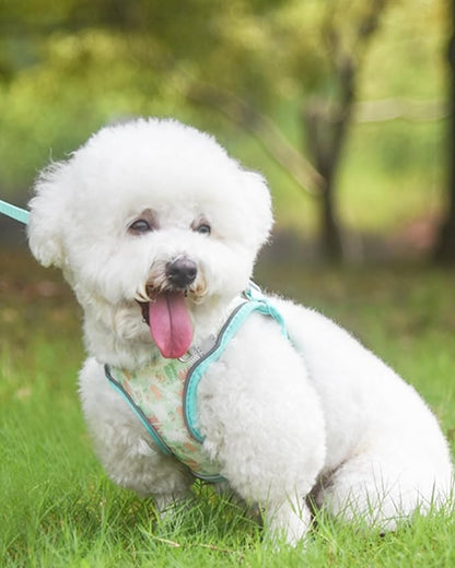 Dog Harness for Small Medium Dogs No Pull, Cat Harness and Leash Set, Step in Puppy Harness. (Green, XXS)