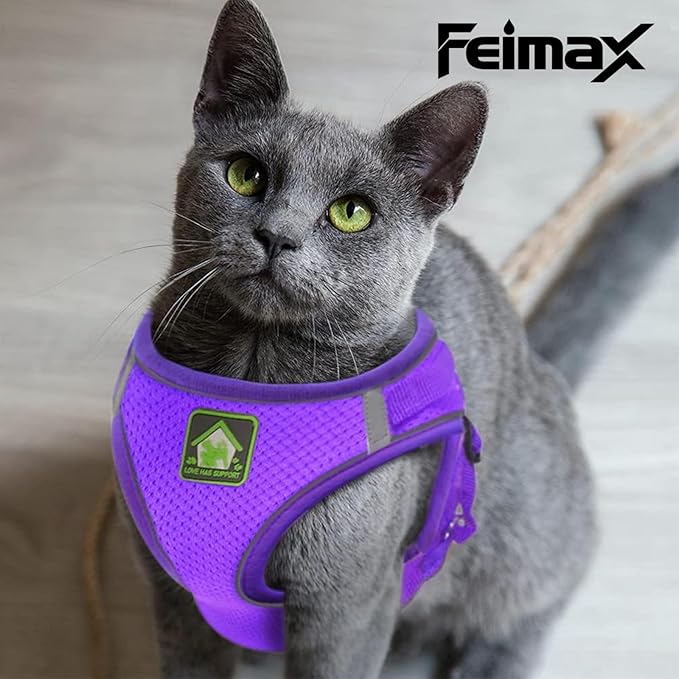 FEimaX Dog Harness and Leash Set, No-Pull Breathable Soft Mesh Puppy Vest Harness Reflective Adjustable Pet Harnesses for Small Medium Dogs and Cats - Outdoor Easy Control for Walking (L, Purple)