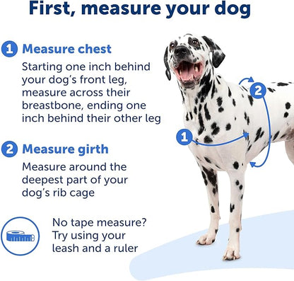 PetSafe Easy Walk No-Pull Dog Harness - The Ultimate Harness to Help Stop Pulling - Take Control & Teach Better Leash Manners - Helps Prevent Pets Pulling on Walks, X-Large, Black/Silver