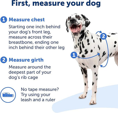 PetSafe Easy Walk Harness for Dogs - Pull-Free Walks - Patented Martingale Loop Design - Front Chest Leash Attachment - Comfort Straps - Breathable Harness Design - Medium/Large, Red/Black