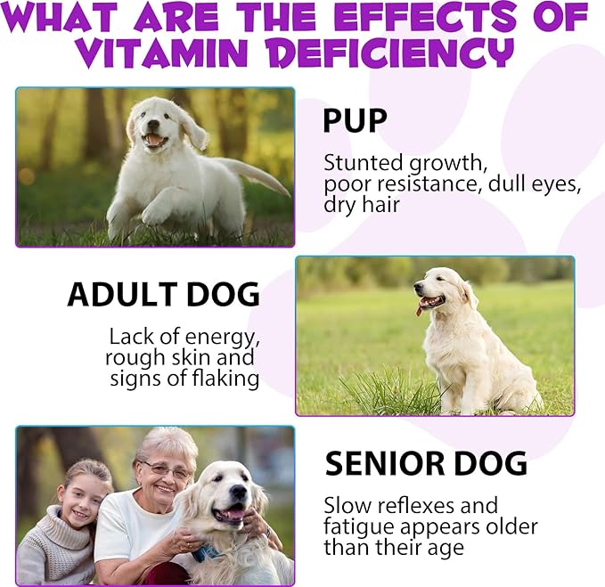 15 in 1 Dog Multivitamin, All-in-One Multi Liquid Multivitamin for Dogs, Dog Vitamins and Supplement with Digestive, Immunity, Allergy Skin & Coat Support, Hip & Joint, All Ages, Breeds 2 oz