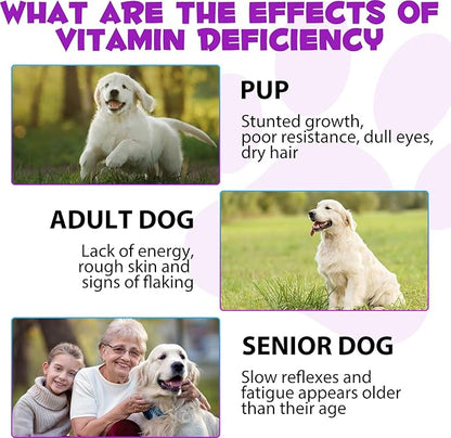Dog Multivitamin Liquid - 15 in 1 Dog Vitamins Multivitamin, Support Skin & Coat, Heart, Bones and Joint Health, Pet Vitamins and Supplements (2 Fl Oz (Pack of 2))
