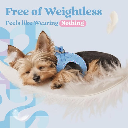 rabbitgoo Small Dog Harness, Step-in Soft Mesh Puppy Vest with Safety Buckle, Breathable Reflective Pet Harness for Extra Small Dogs, Blue & Plaid Trim XXS