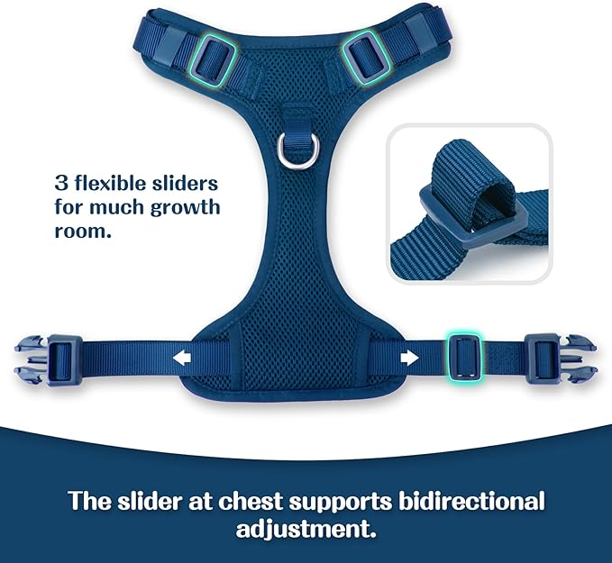 No Pull Dog Harness for Small Medium Large Dogs - Adjustable 2 Layer Mesh Dog Vest with Dual Clip, Escape Proof, Quick Release, Lightweight Breathable Mesh for Walking Hiking (Prussian Blue,M)