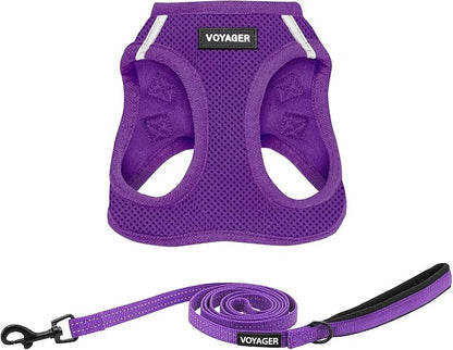 Best Pet Supplies Voyager Step-in Air All Weather Mesh Harness and Reflective Dog 5ft Leash Combo with Neoprene Handle, for Small, Medium and Large Breed Puppies - Set (Purple), Medium