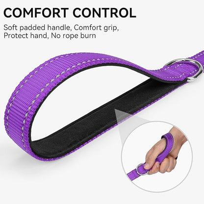 Joytale Dog Leash, 6 FT Double-Sided Reflective, Padded Handle Nylon Heavy Duty Leashes for Small Dogs Walking, Purple