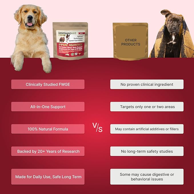 Plant Based Dog Supplement Tablets | Bio-Active Canine Nutritional Supplements Immune & GI Health Support | Veterinary Supplements Natural Fermented Wheat Germ Extract (FWGE) (Tablets)