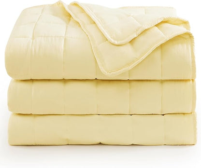 Casa Platino Twin XL Bed Blanket – Pre-Washed Microfiber with Quilted Down Alternative Fill, Lightweight & Reversible for Year-Round Comfort – Vanilla