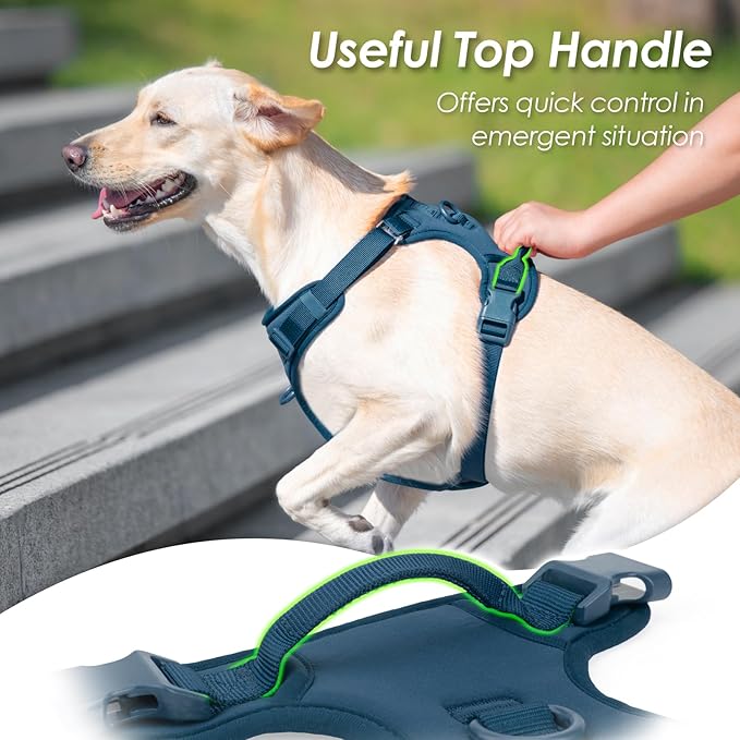 No Pull Dog Harness, Puppy Vest with Front Clip for Small Medium Large Sized Dog(Prussian Blue,L)