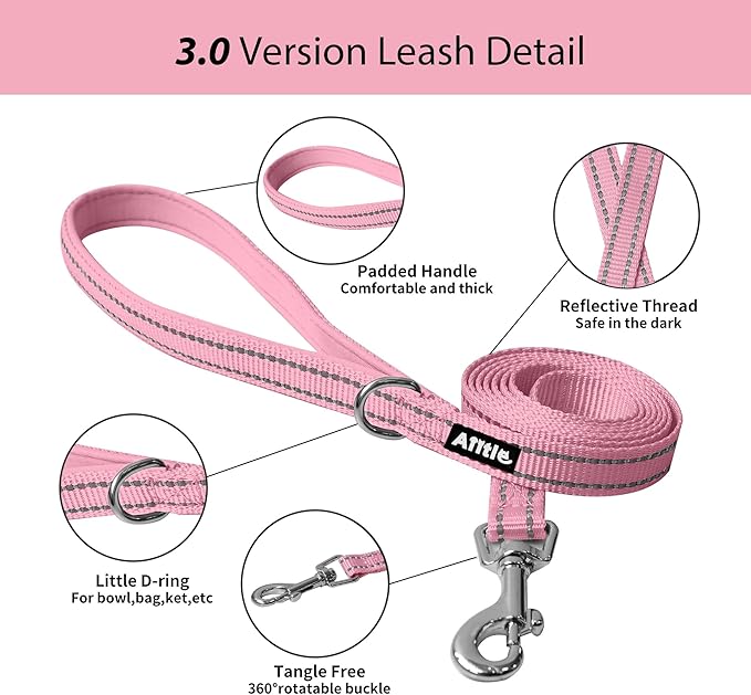 AIITLE Step in Dog Harness and Leash Set - No Pull Escape Proof Vest Harnesses with Soft Mesh and Reflective Bands, Adjustable Pet Outdoor Harnesses for Small and Medium Dogs Pure Pink M