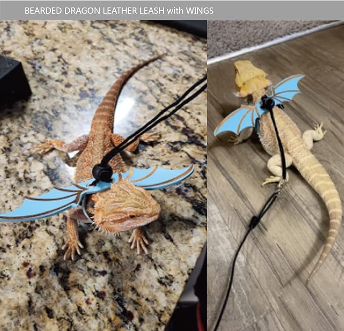 Bearded Dragon Leash and Harness Set, Beardie Carrier, Lizard Adjustable Harness with Leather Wings and Sling Bag, Reptile Small Pet Backpack Batwing Accessories (Blue)