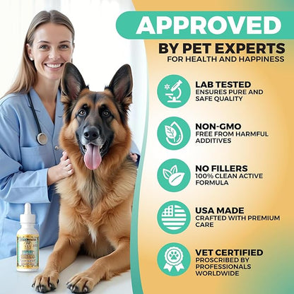 Hippie Dawg Big DAWG Hemp Oil for Large Dogs (50-75 lbs) - Maximum Strength Hip and Joint Support with Glucosamine, Collagen & Hyaluronic Acid - Natural Calming Tincture for Mobility & Wellness - 1oz
